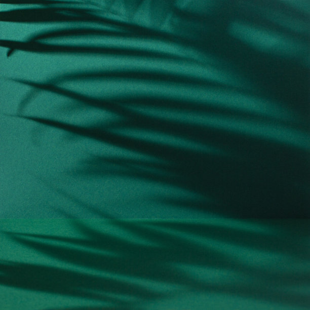 清新蓝绿棕榈叶图案背景