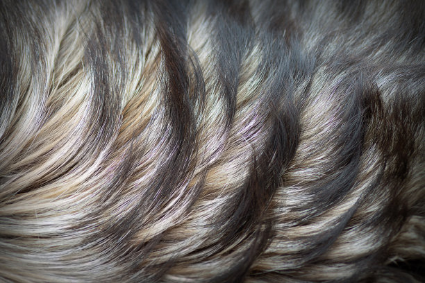 hairs
