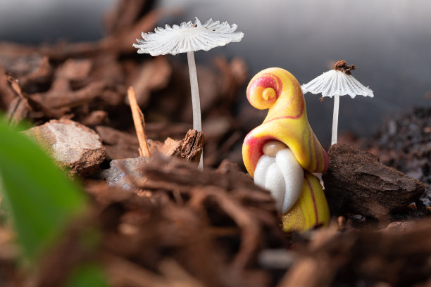 gnome