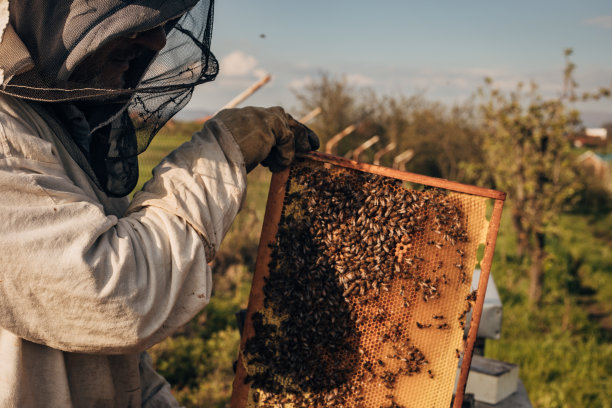 beekeeper