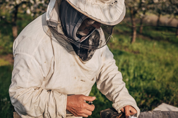 beekeeper