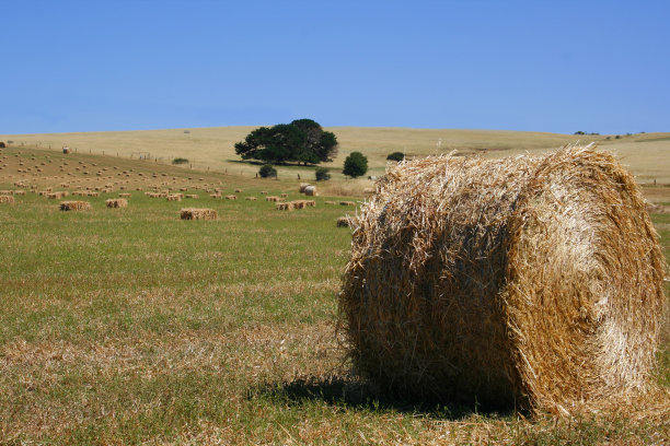 bale