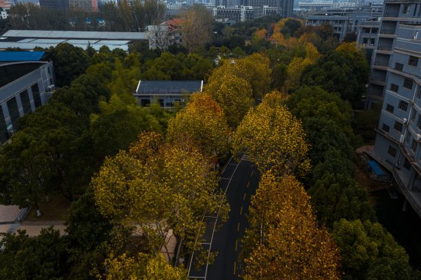 湖北武汉大学校园风光