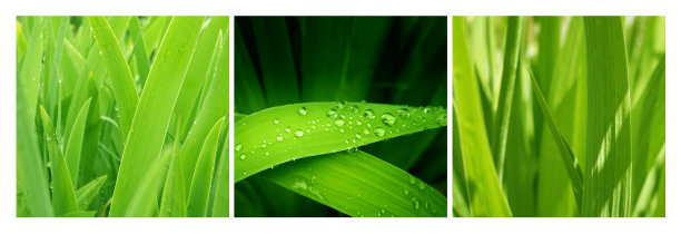 清新绿色方块背景图案