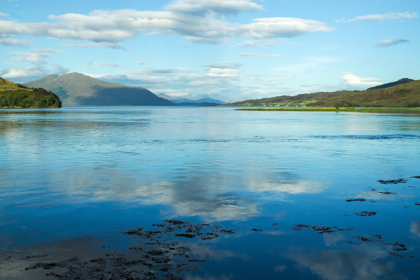 donan