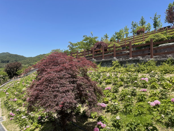 高端大气地产华丽绽放