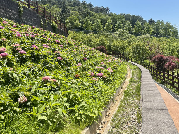 高端大气地产华丽绽放