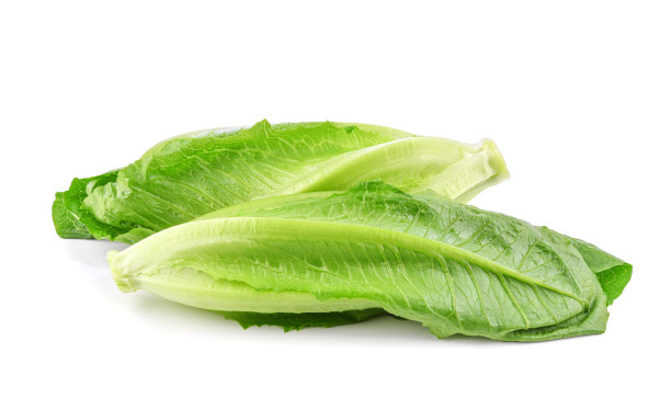 romaine