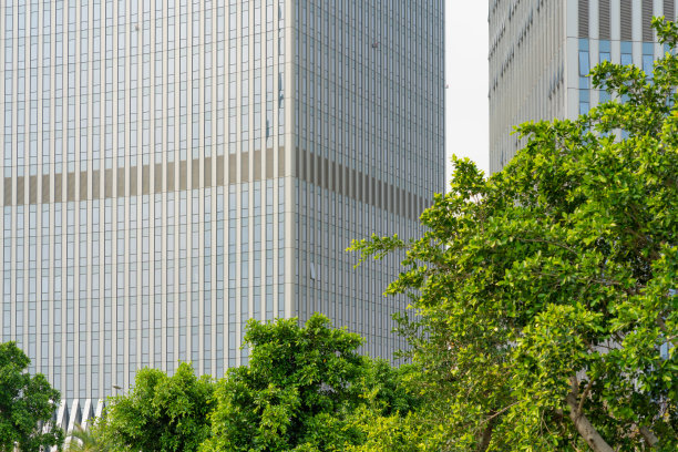 现代玻璃幕墙高楼与绿树