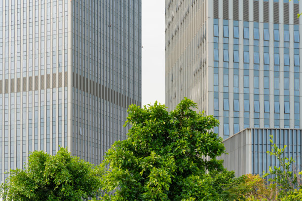 现代玻璃幕墙高楼与绿树