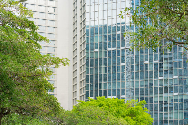 现代玻璃幕墙高楼与绿树