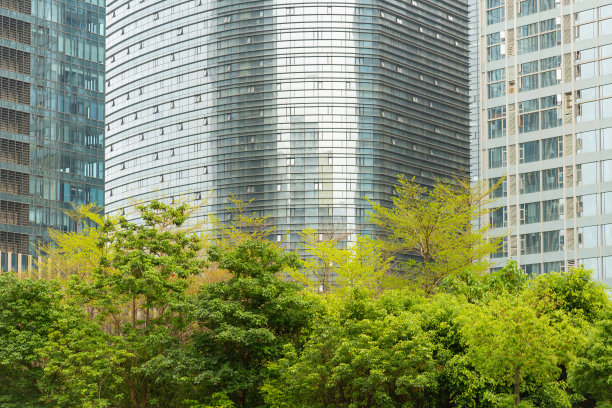 现代玻璃幕墙高楼与绿树
