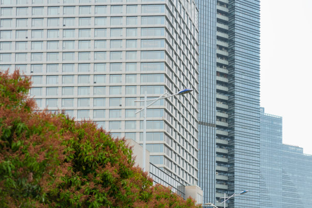 现代玻璃幕墙高楼与绿树
