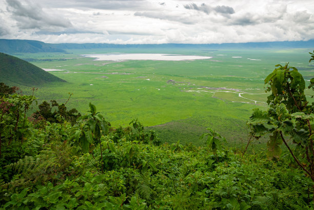 ngorongoro