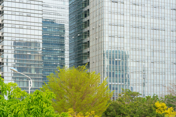 现代玻璃幕墙高楼与绿树