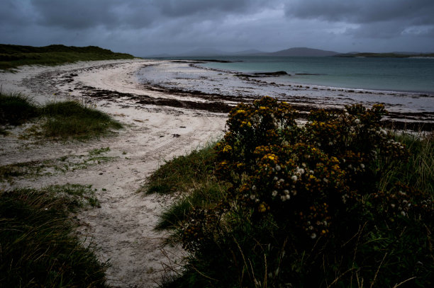 barra
