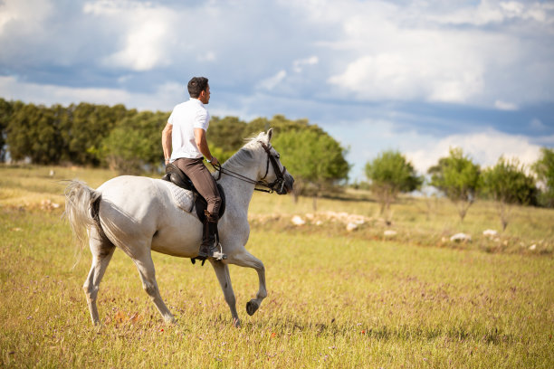 草原夏季牧场男人骑马