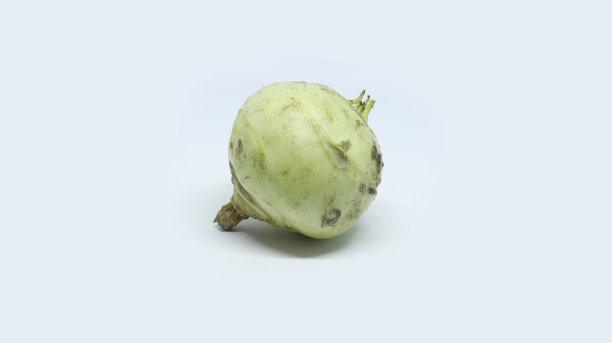 白菜茴香根
