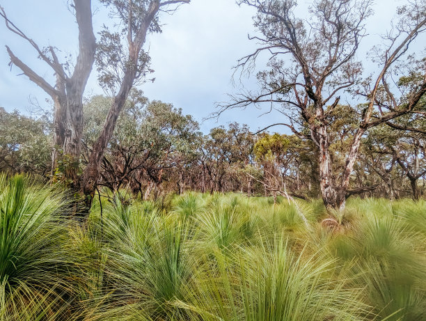 anglesea