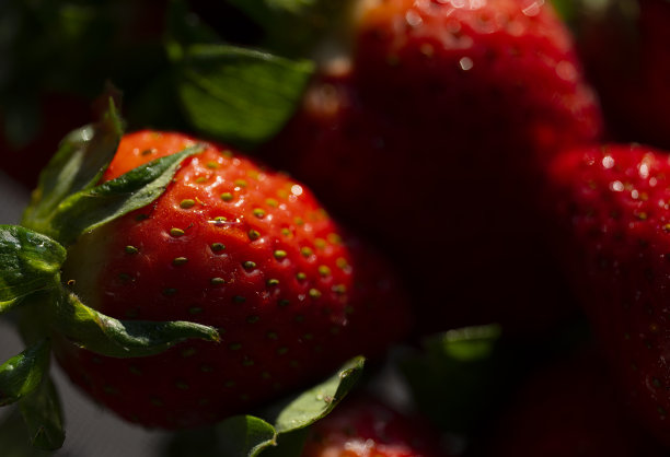 草莓静物细节摄影