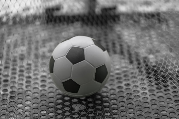 足球场logo