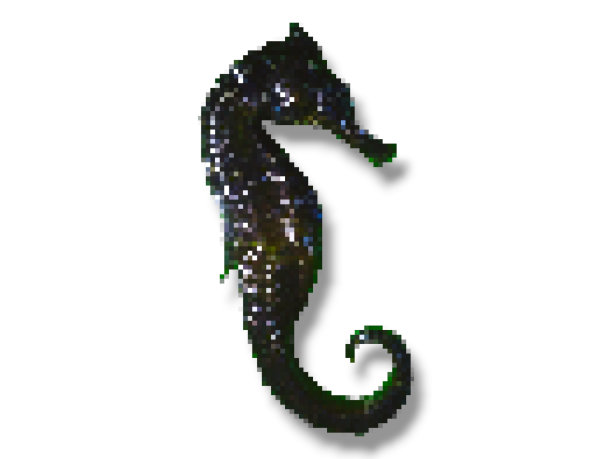 无脊椎动物标志