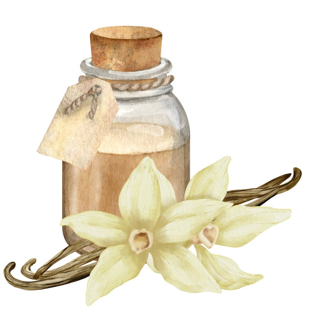 豆荚草药包装插画