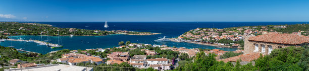 cervo