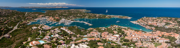 cervo