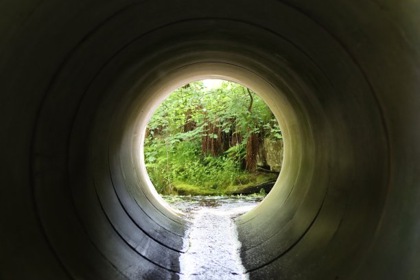 ditch