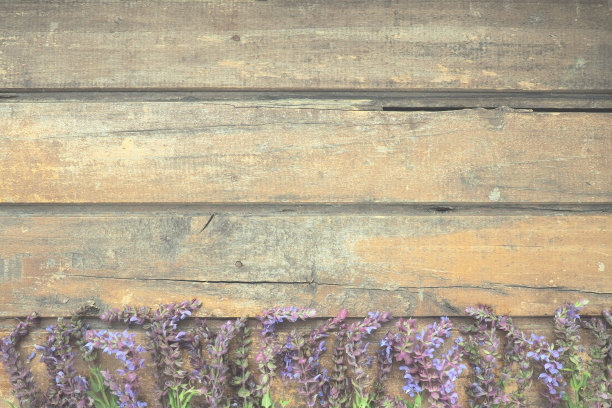 liatris