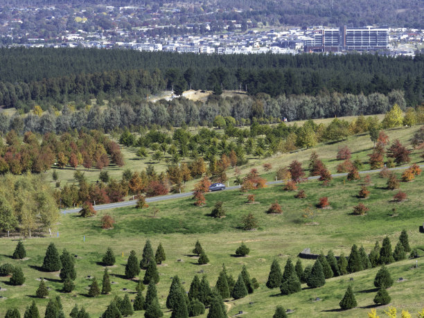 canberra