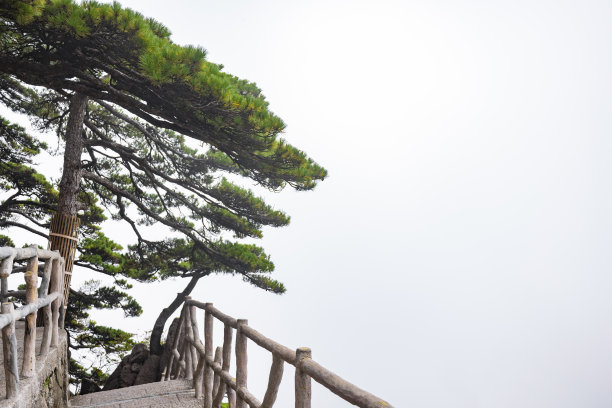 黄山的秋景