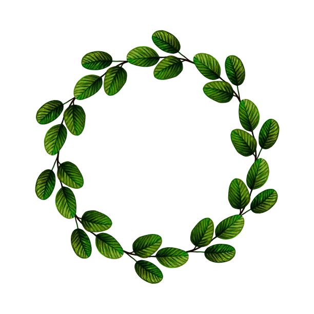 绿色精美圆形花纹图案