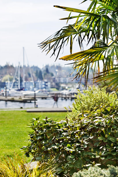 kirkland