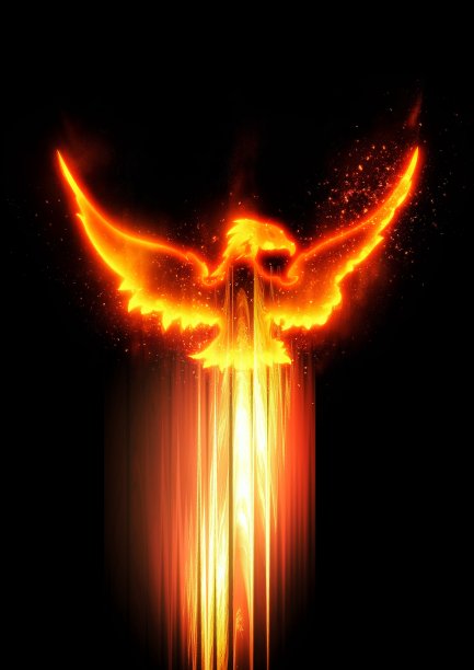 金红色凤凰插画