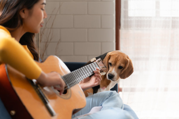 小狗与吉它