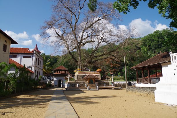kandy