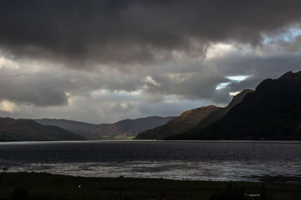 donan