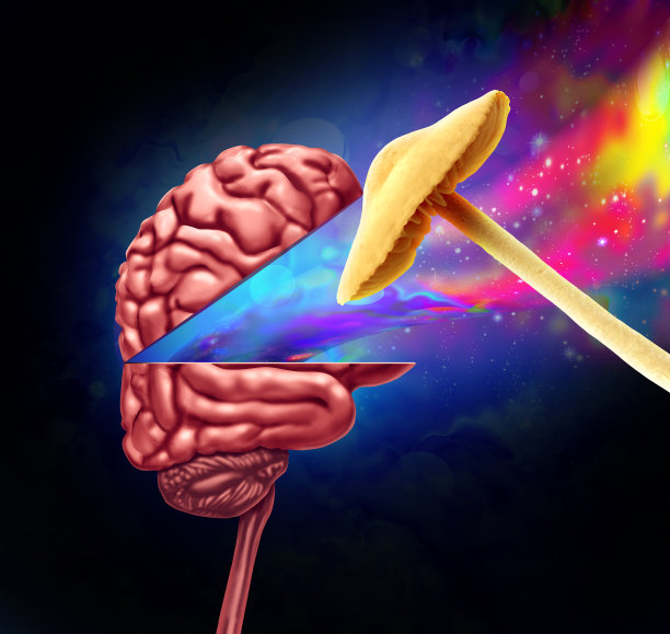 lsd