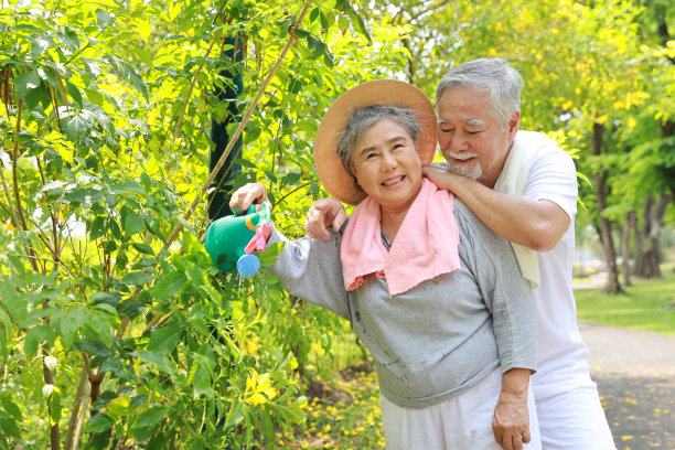 亚洲老年夫妇在后院室外拥抱的肖像。