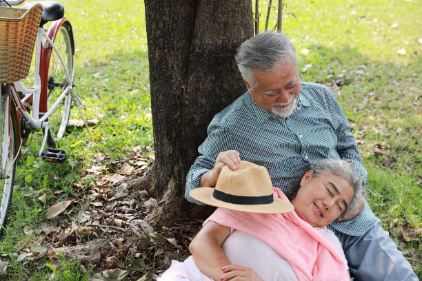 亚洲老年夫妇相互拥抱的肖像。