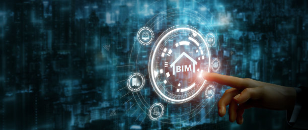 bim