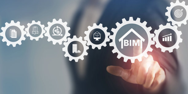 bim