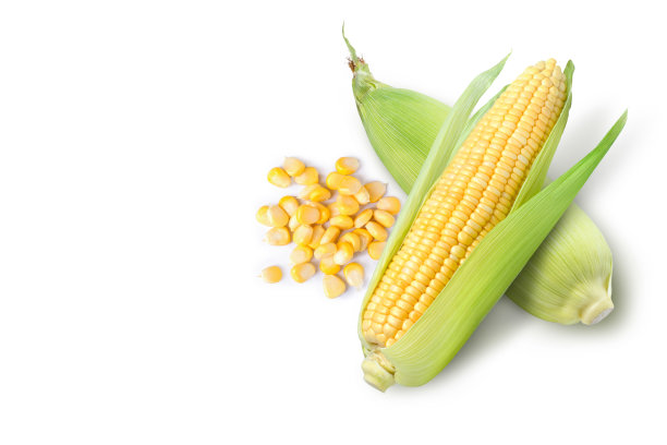 maize