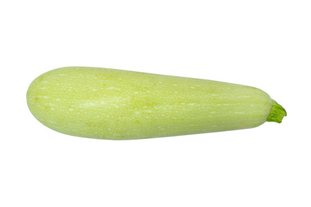 courgette
