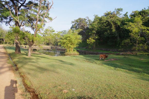 sigiriya
