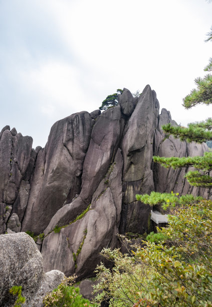 黄山印象矢量图