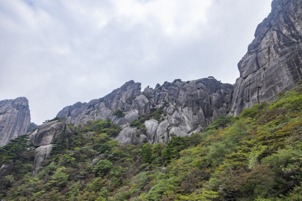黄山印象矢量图