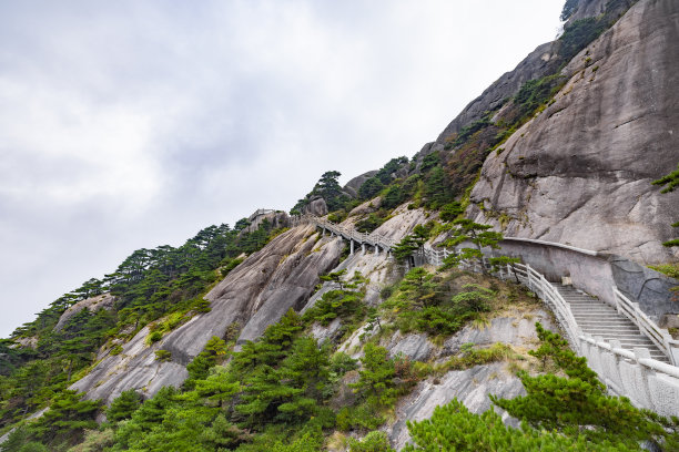 黄山印象矢量图